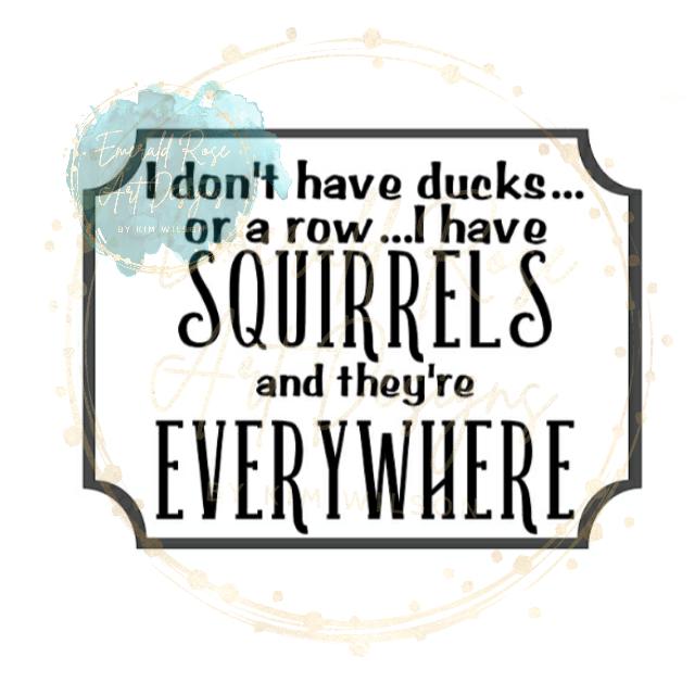 I don't have Ducks Decal